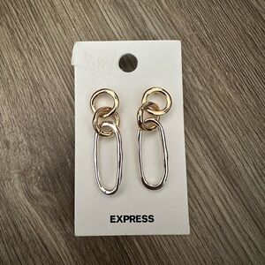 Express Gold and Silver Link Earrings